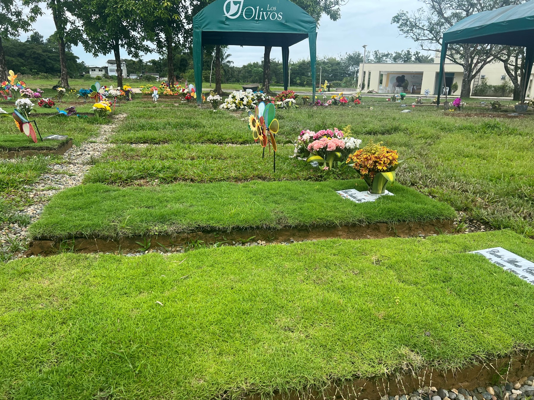 los olivos planes exequiales