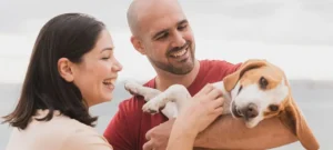 seguro para perros