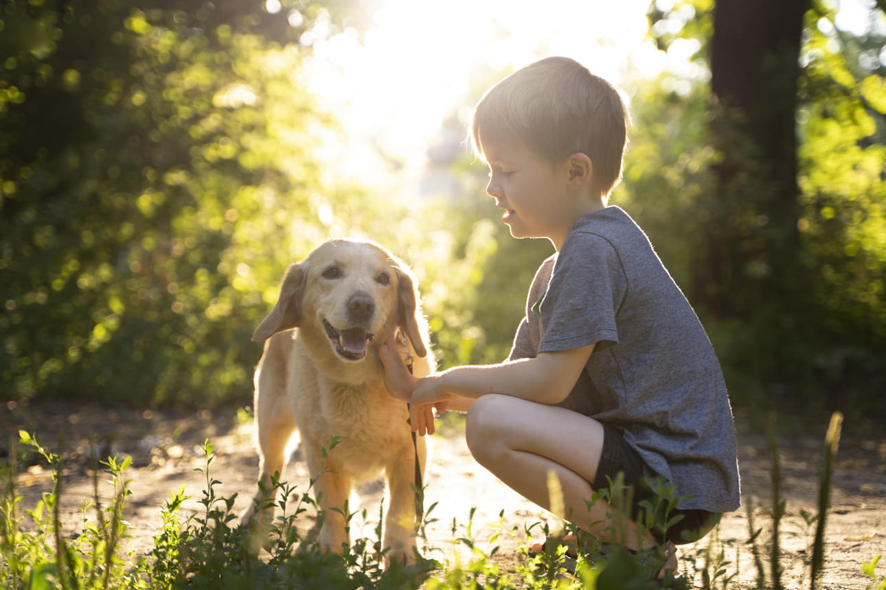 Servicios funerarios para mascotas: Honrando nuestros compañeros