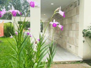 Cementerio Parque Villavicencio